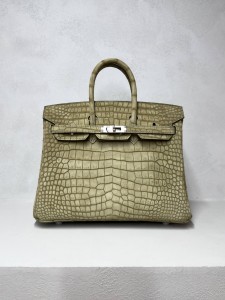 Hermes Birkin 25 cm  Porosus