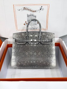 Hermes Birkin 20 lizard