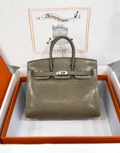 Hermes Birkin 20 lizard