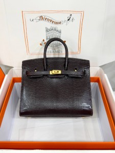 Hermes Birkin 20 lizard