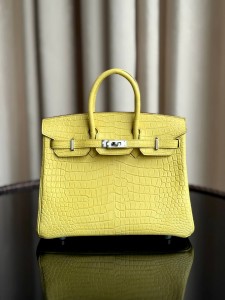 Hermes Birkin 25 porosus crocodiles