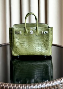 Hermes Birkin 25 porosus crocodiles
