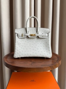Hermes Birkin 25 Ostrich