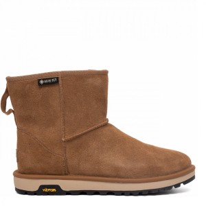 Ugg Mens Classic Mini Gtx Boot Chestnut