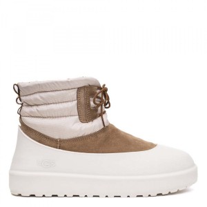 Ugg Mens Classic Mini Lace-Up Chestnut Whitecap