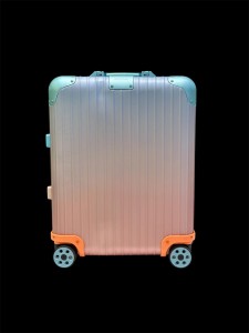 Ручная кладь Rimowa