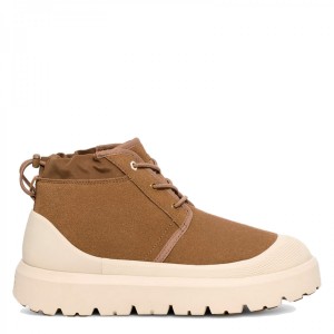 Ugg Neumel Hybrid Chestnut / Whitecap Ugg Neumel Hybrid Chestnut / Whitecap
