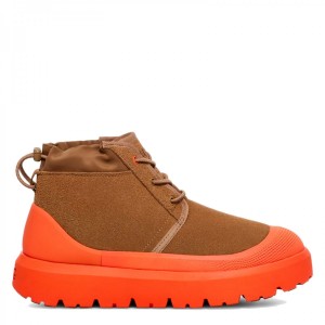Ugg Neumel Hybrid Chestnut / Orange Ugg Neumel Hybrid Chestnut / Orange