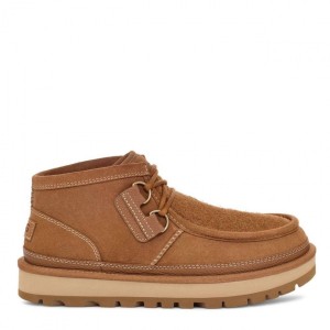 Ugg Mens Hayden Moc Chukka Chestnut Ugg Mens Hayden Moc Chukka Chestnut