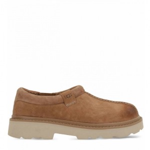 Ugg Mens Tasman Lug Chestnut Ugg Mens Tasman Lug Chestnut