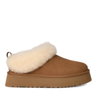 Ugg Platform Tazelle Chestnut Ugg Platform Tazelle Chestnut