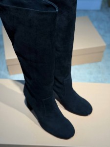 Сапоги Gianvito Rossi