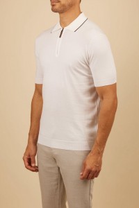 Мужское поло Canali