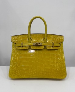 Hermes Birkin 25 cm Gold