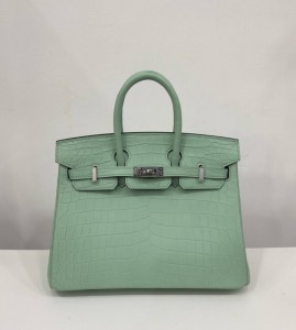 Hermes Birkin 25 cm