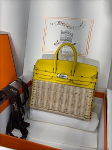 Hermes Birkin Picnic 25 cm