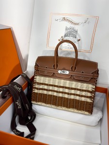 Hermes Birkin Picnic 25 cm