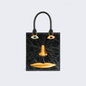 Сумка Schiaparelli