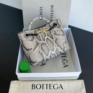 Bottega Veneta Andiamo Shoulder Bag  Python