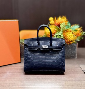 Hermes Birkin 20 Alligator