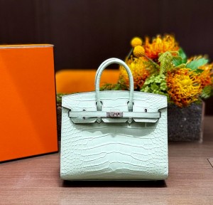 Hermes Birkin 20 Alligator