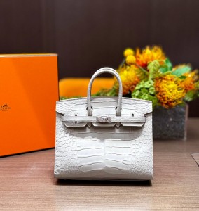 Hermes Birkin 20 Alligator