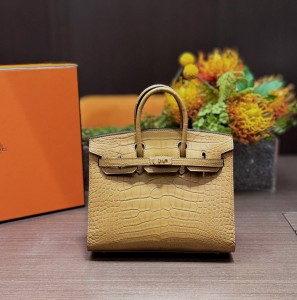 Hermes Birkin 20 Alligator Gold