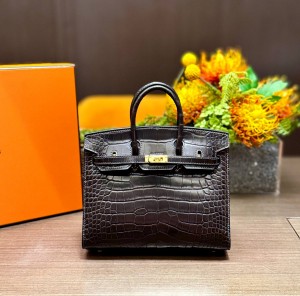 Hermes Birkin 20 Alligator